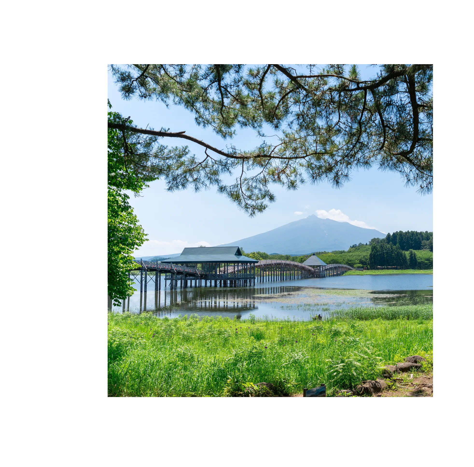 青森県 舞の鶴橋